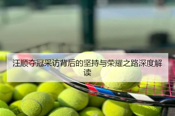 汪顺夺冠采访背后的坚持与荣耀之路深度解读