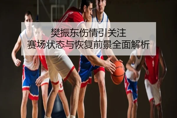 樊振东伤情引关注 赛场状态与恢复前景全面解析