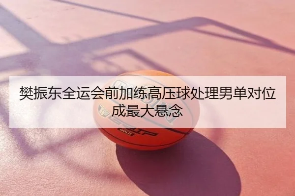 樊振东全运会前加练高压球处理男单对位成最大悬念