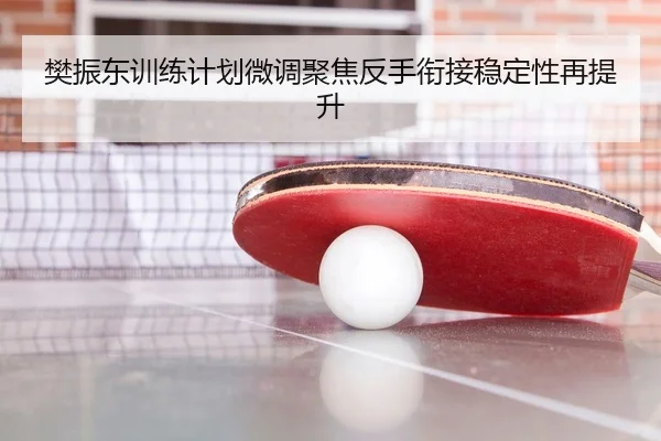 樊振东训练计划微调聚焦反手衔接稳定性再提升